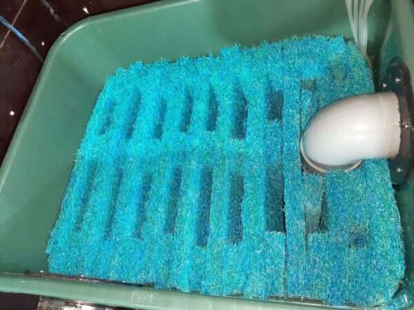CUVE DE 300L DE TAPIS JAPONAIS