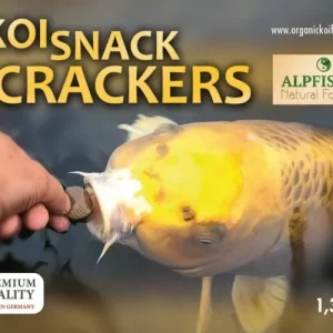 Koi Snack Crackers