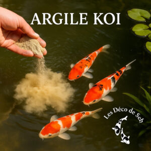 Argile Koi